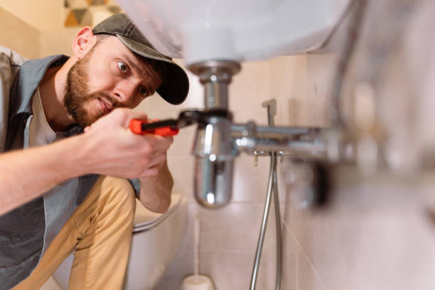 Best Clogged Drain Plumber  in Willow, AK